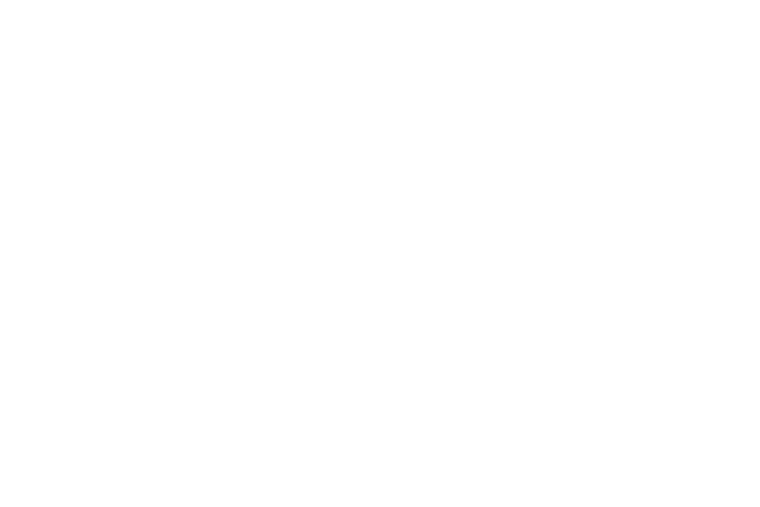 Acque Veronesi SCARL